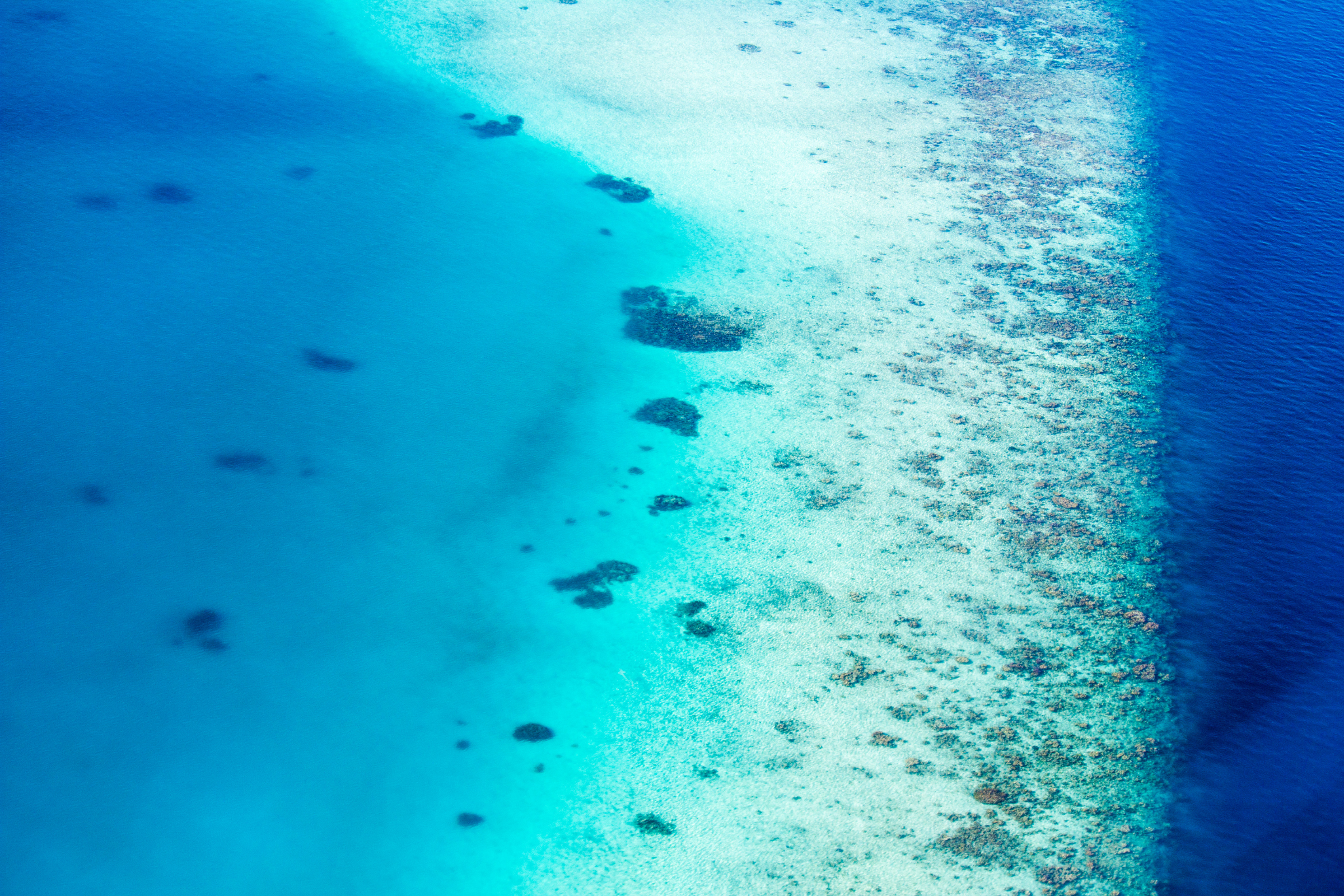 ari atoll.webp
